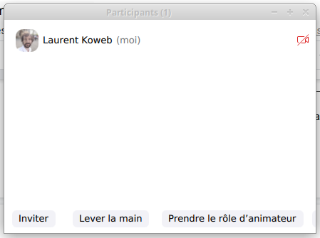 Bouton pour prendre le rôle d'animateur Zoom